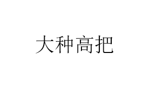 大种高把