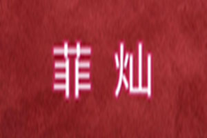 菲灿