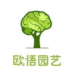 欧悟