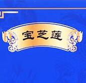 宝芝莲