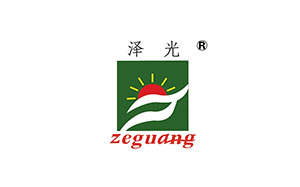 泽光