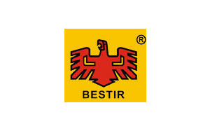 鹰之印/BESTIR