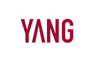 YANG设计