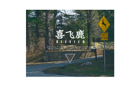 喜飞鹿/XIFEILU