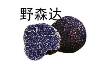 野森达