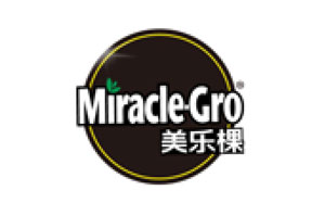 美乐棵
