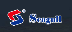 海鸥/Seagull