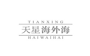 天星海外海