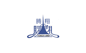腾翔/TENGXIANG