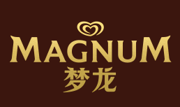 梦龙/MAGNUM