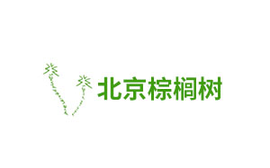 北京棕榈树