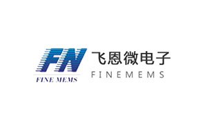 飞恩微电子