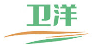 卫洋