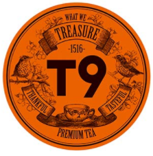 T9