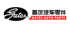 盖茨/gates
