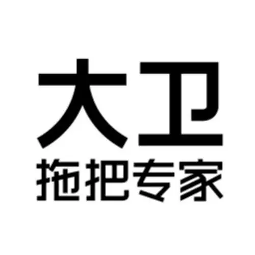 大卫拖把