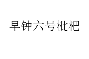 早钟六号枇杷