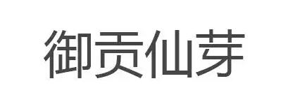御贡仙芽