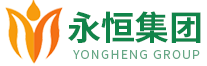 永恒