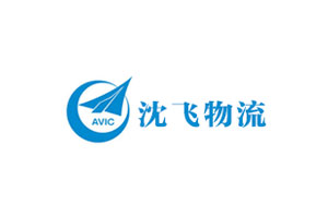 沈飞