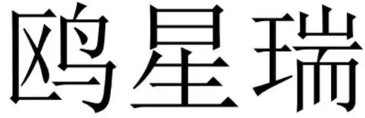鸥星瑞
