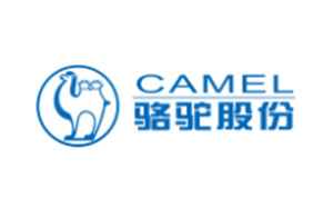 骆驼电池/CAMEL