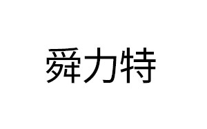 舜力特照明