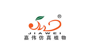 嘉伟/JIAWEI