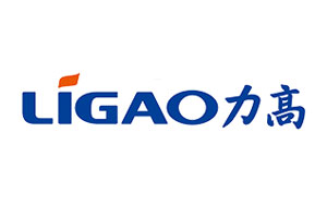 力高泵业/LiGAO