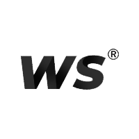 WS snowboards