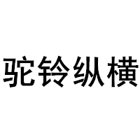 驼铃纵横