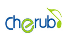 小天使/CHERUB