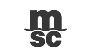 地中海航运/MSC