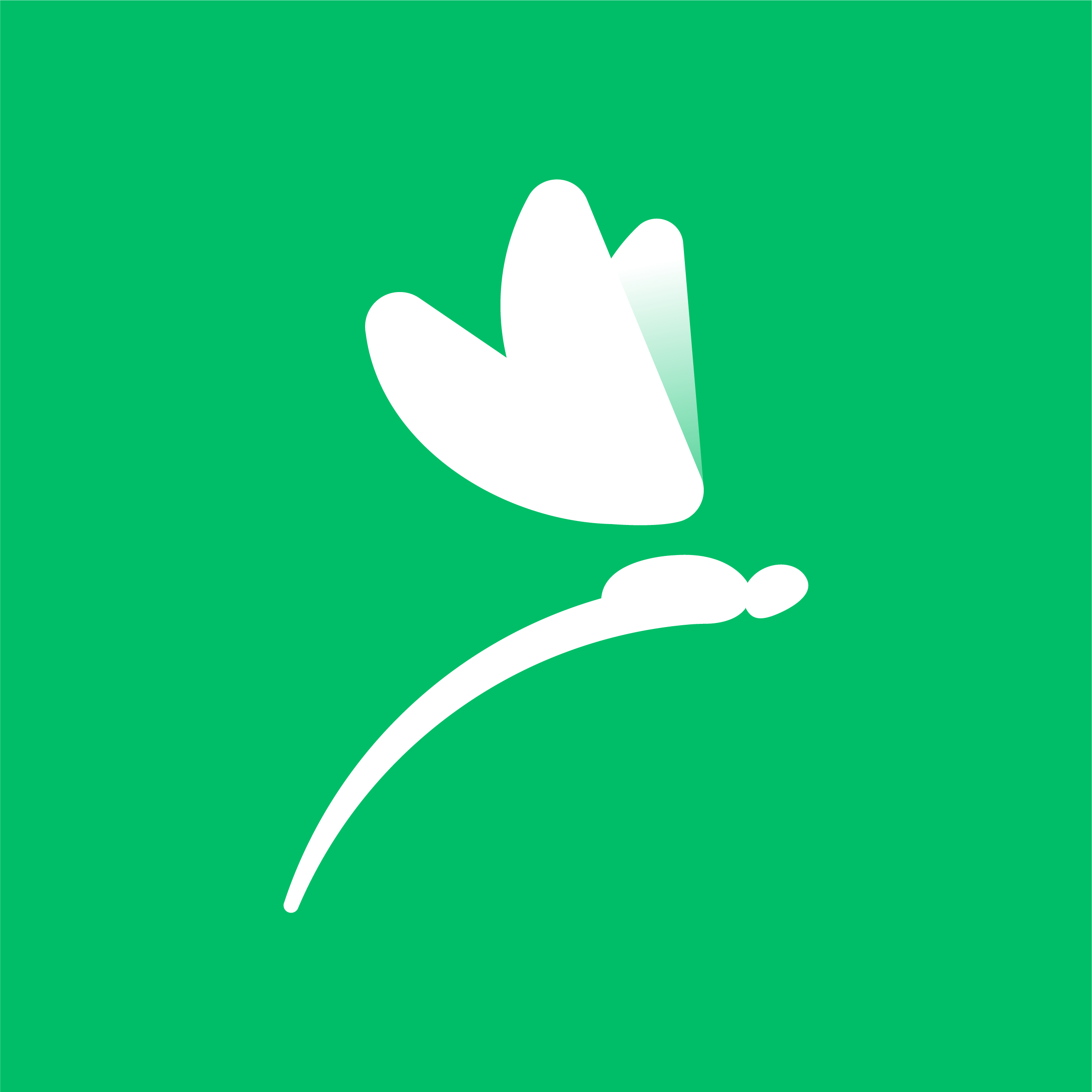 蜻蜓生涯