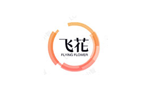 飞花灯饰