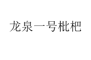 龙泉一号枇杷