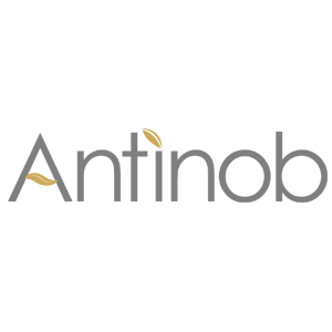 安提诺伯/ANTINOB