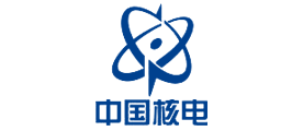 中核电力