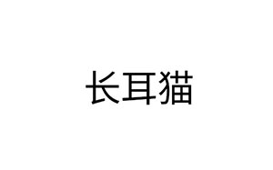 长耳猫