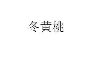 冬黄桃