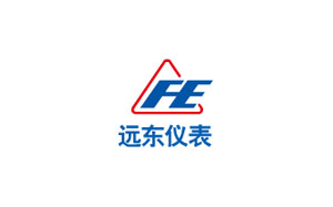远东仪表/FE