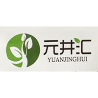 元井汇