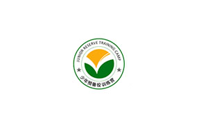 少年预备役训练营