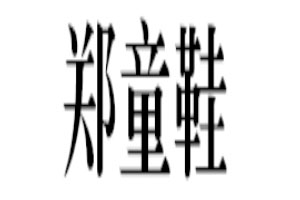 郑童鞋