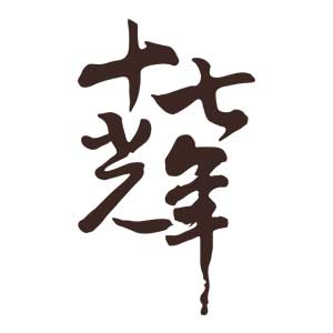 十七光年