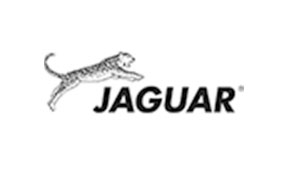 丛林豹/JAGUAR