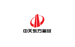 中天东方氟硅