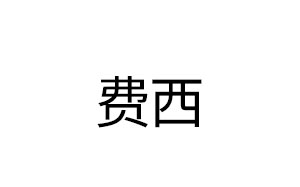 费西/FEIXI