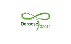 德鲁仕/Deroose