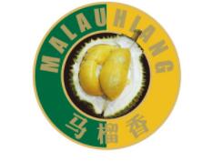 马榴香/maliuxiang
